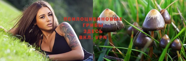 марки nbome Аркадак
