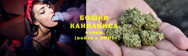 индика Балабаново