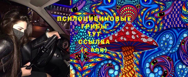 молекула духа Арсеньев