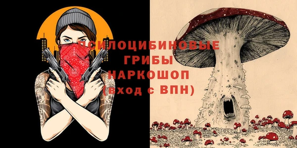 молекула духа Арсеньев