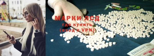 молекула духа Арсеньев
