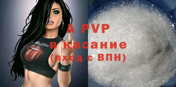 молекула духа Арсеньев