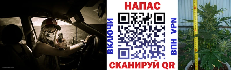 Каннабис White Widow  omg вход  Пугачёв 